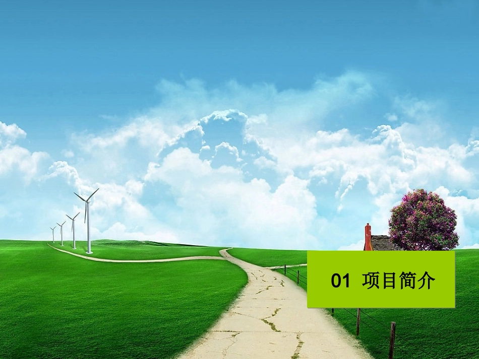 庄园景观设计_第3页