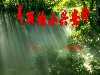 人教版小学三年级语文美丽的小兴安岭6