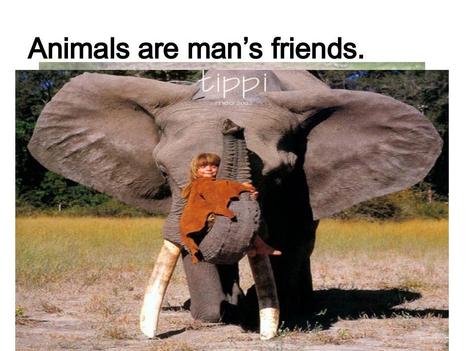 新目标七下unit5SectionA-1_第2页