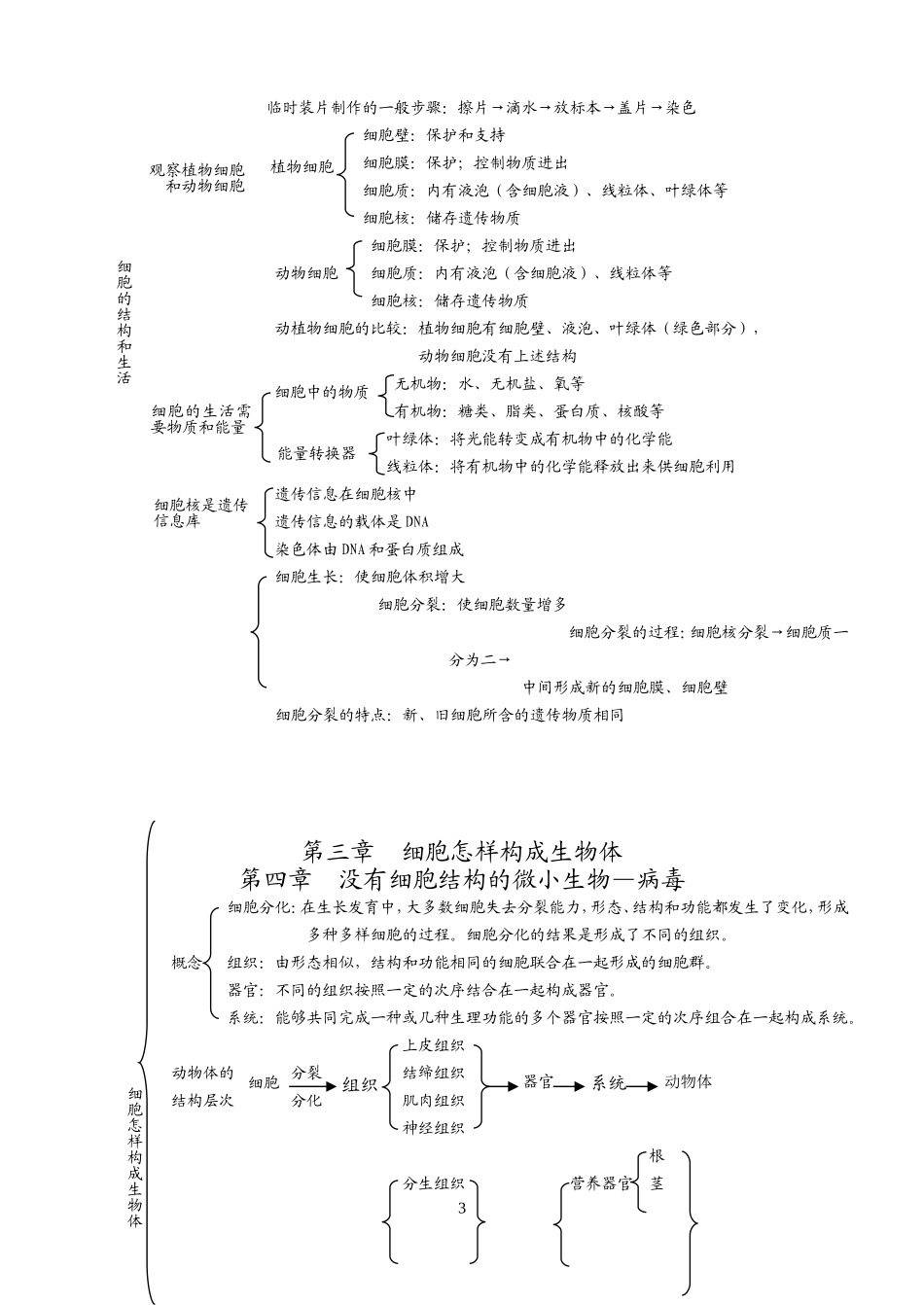 七年级上复习提纲30-33_第3页