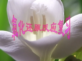 氧化还原反应复习