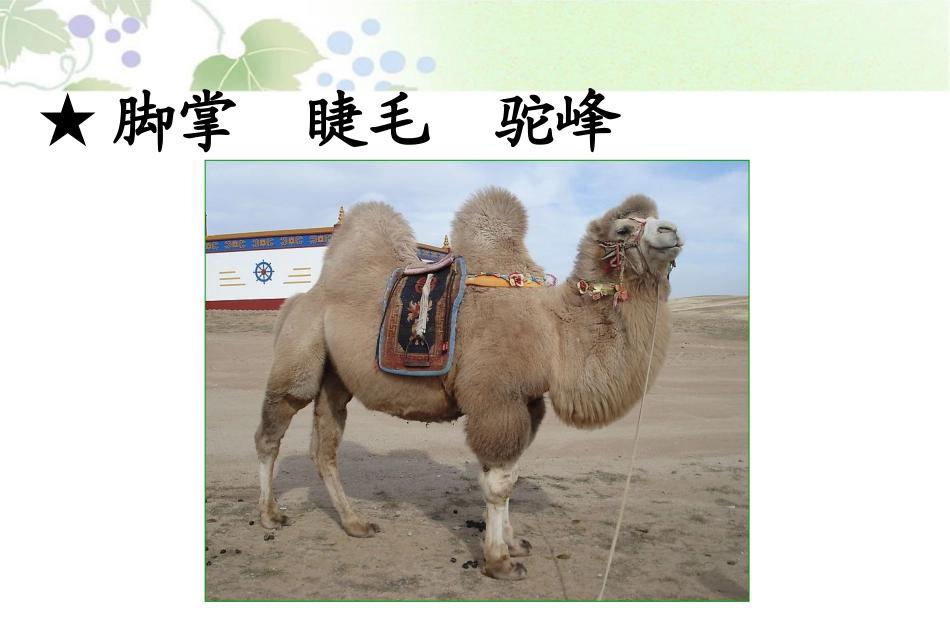 我应该感到自豪才对_第3页