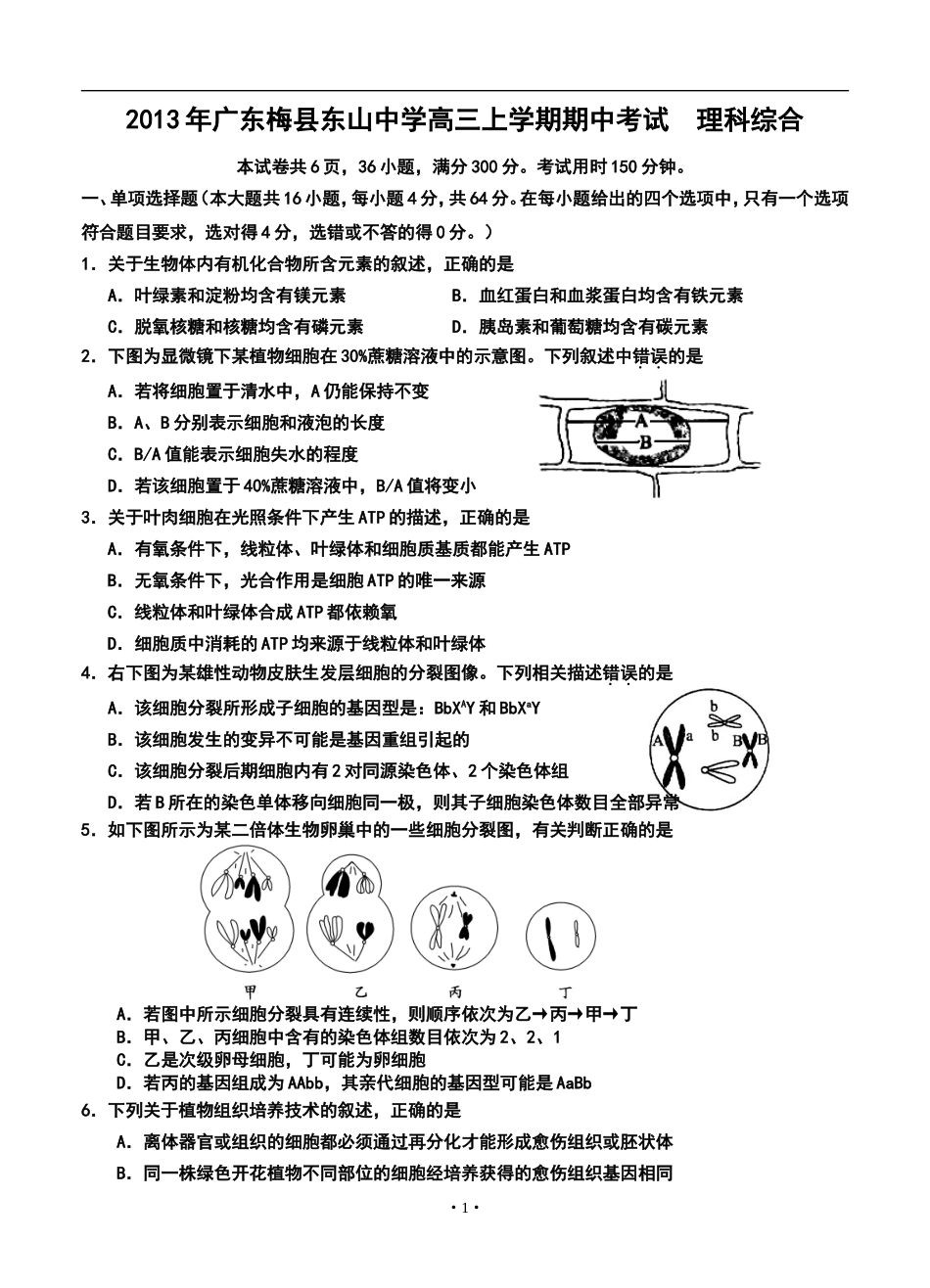 2014届广东省梅县东山中学高三上学期期中考试理科综合试题及答案_第1页