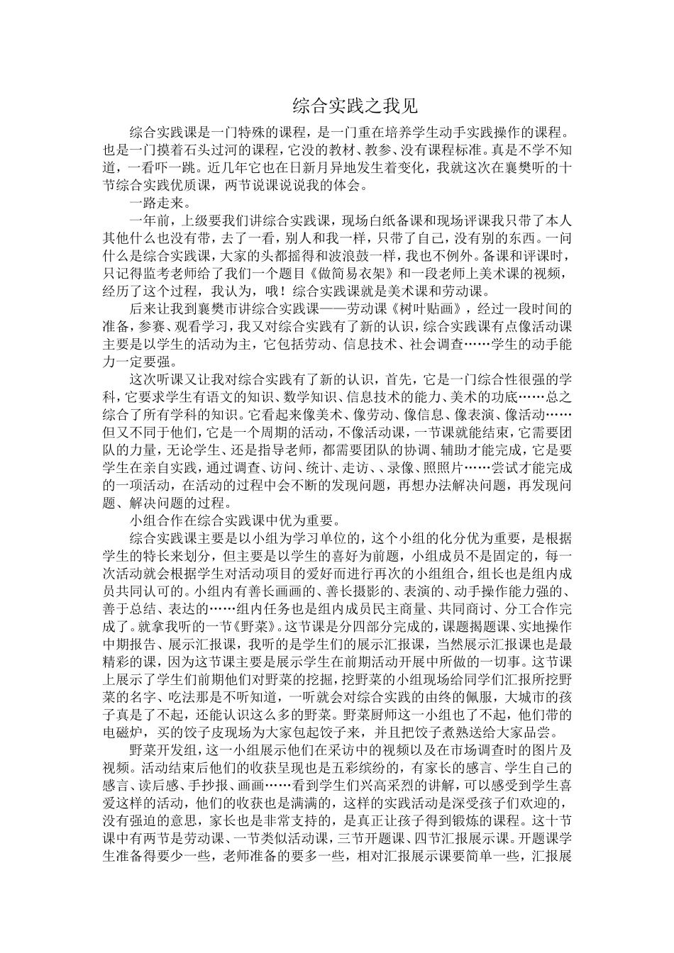 综合实践之我见_第1页