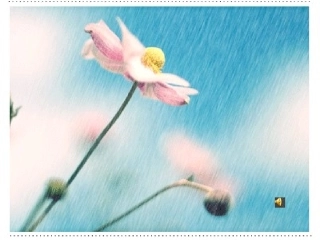 下雨天,真好胡涛涛