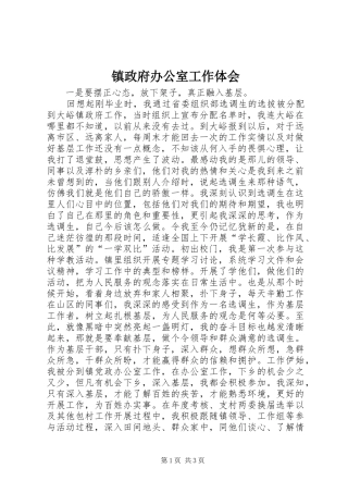 镇政府办公室工作体会