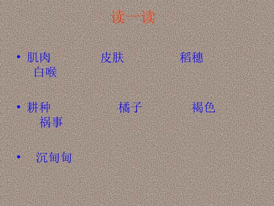 小学六年级语文上册《稻草人》演示课件(语文出版社S版)_第2页