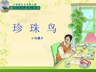 珍珠鸟丁蒙蒙说课