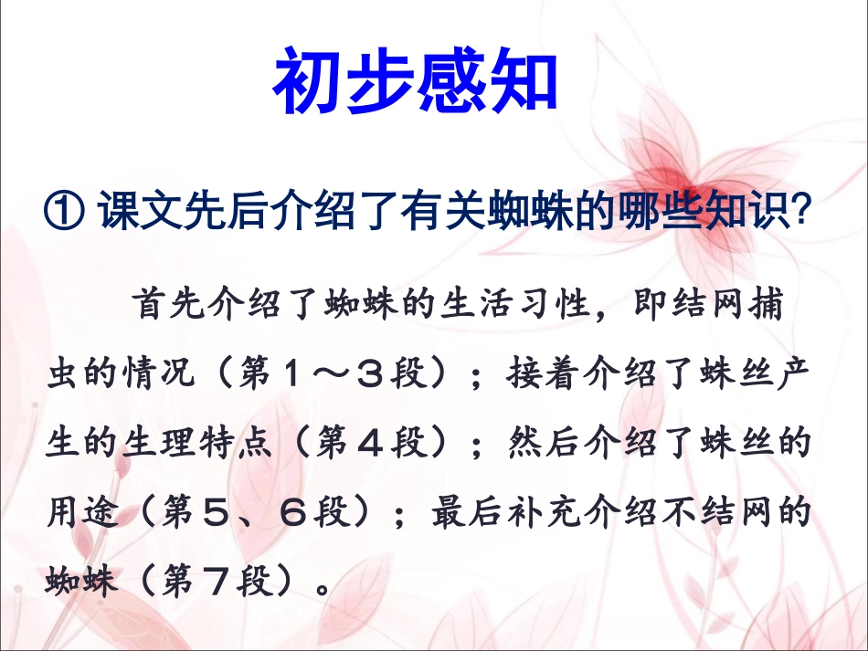 《蜘蛛》课件1_第3页