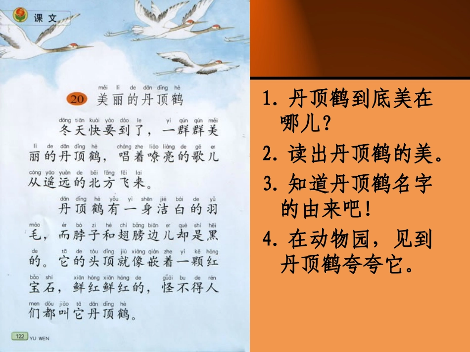 二上美丽的丹顶鹤_第1页