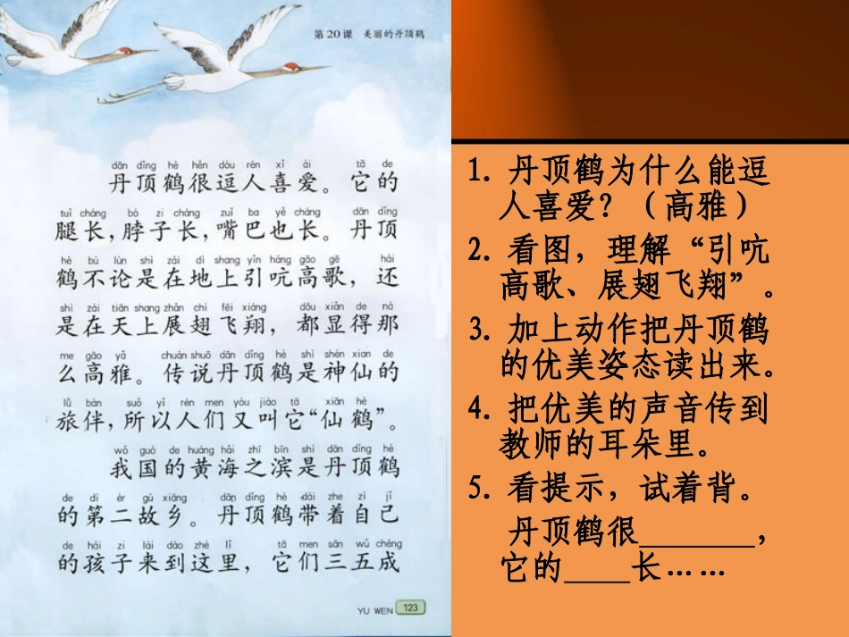 二上美丽的丹顶鹤_第2页