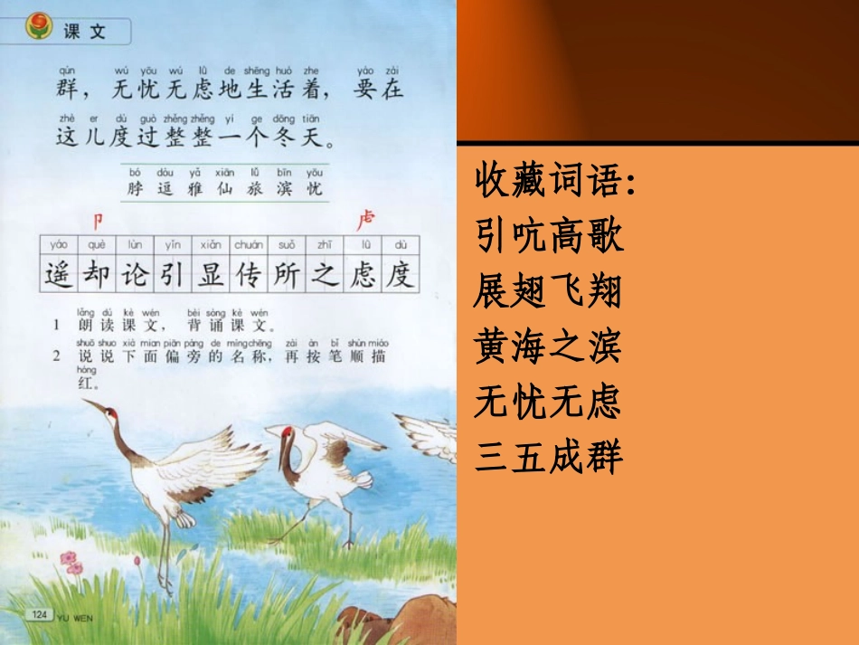 二上美丽的丹顶鹤_第3页