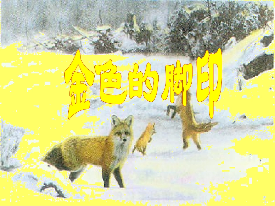 1318金色的脚印_第1页