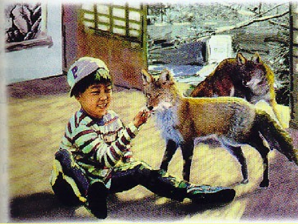 1318金色的脚印_第2页