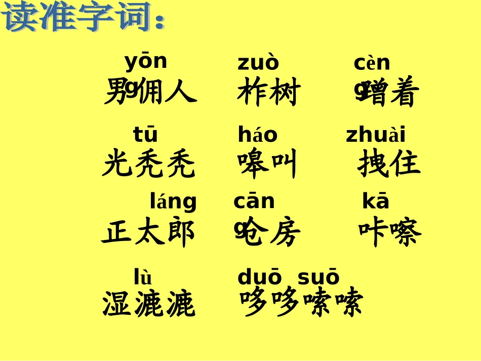 1318金色的脚印_第3页