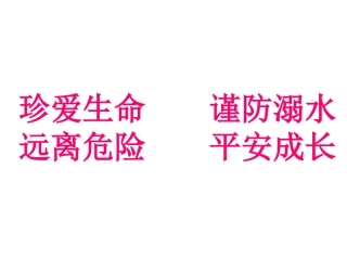 防溺水为主的主题班会