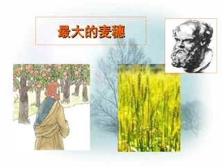 最大的麦穗(课件)