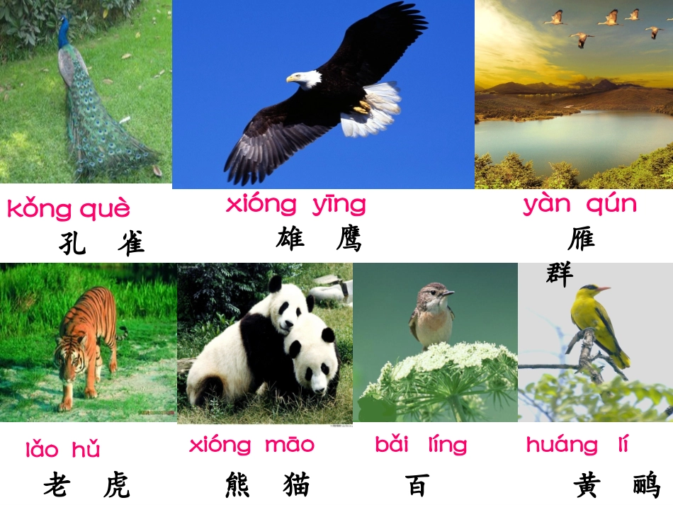 《识字7》课件_第3页