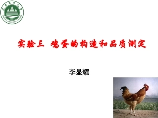 实验三  鸡蛋的构造和品质测定