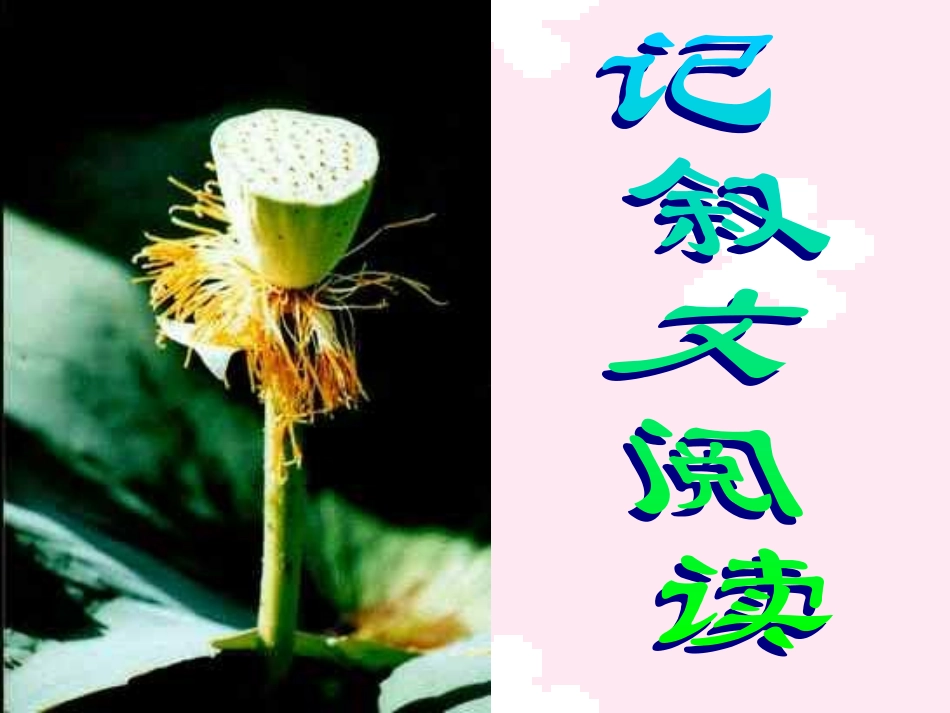 记叙文阅读课件_第1页