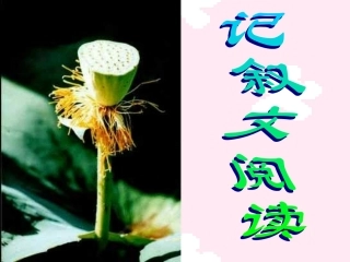 记叙文阅读课件