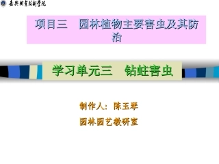 项目三 园林植物主要害虫及其防治 学习单元三 钻柱害虫