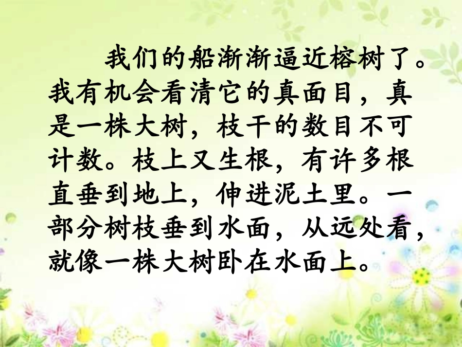 2《鸟的天堂》_第3页