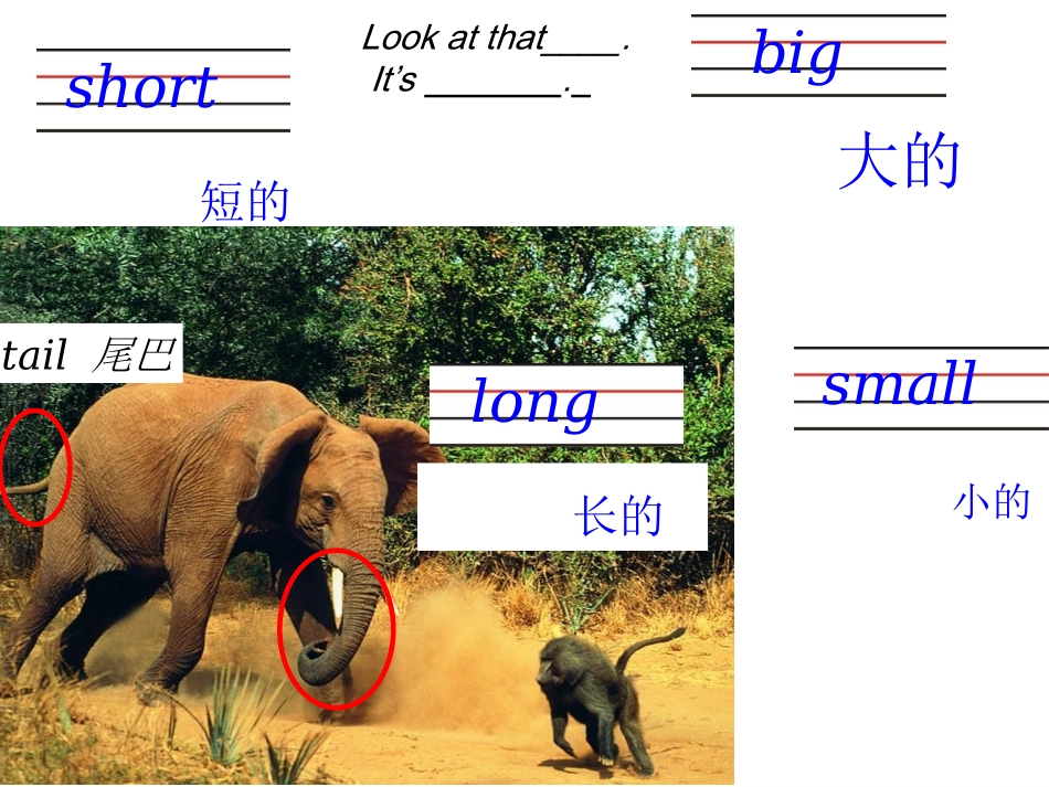 pep2-unit3-b-let's-learn_第3页
