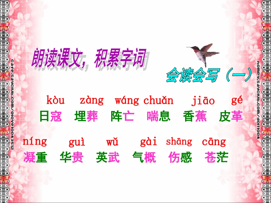 最后一头战象PPT_第2页