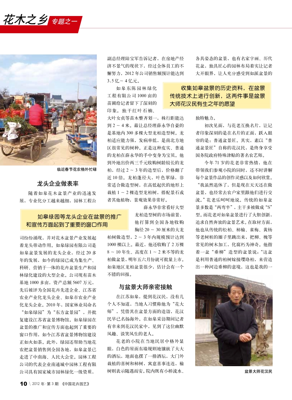 盆景带动花木产业大发展_走进中国花木之乡江苏省如皋市_第3页