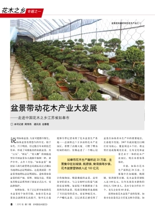 盆景带动花木产业大发展_走进中国花木之乡江苏省如皋市
