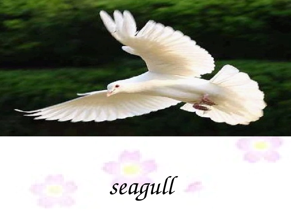 (湘少版)四年级英语上册课件-Unit4_第3页