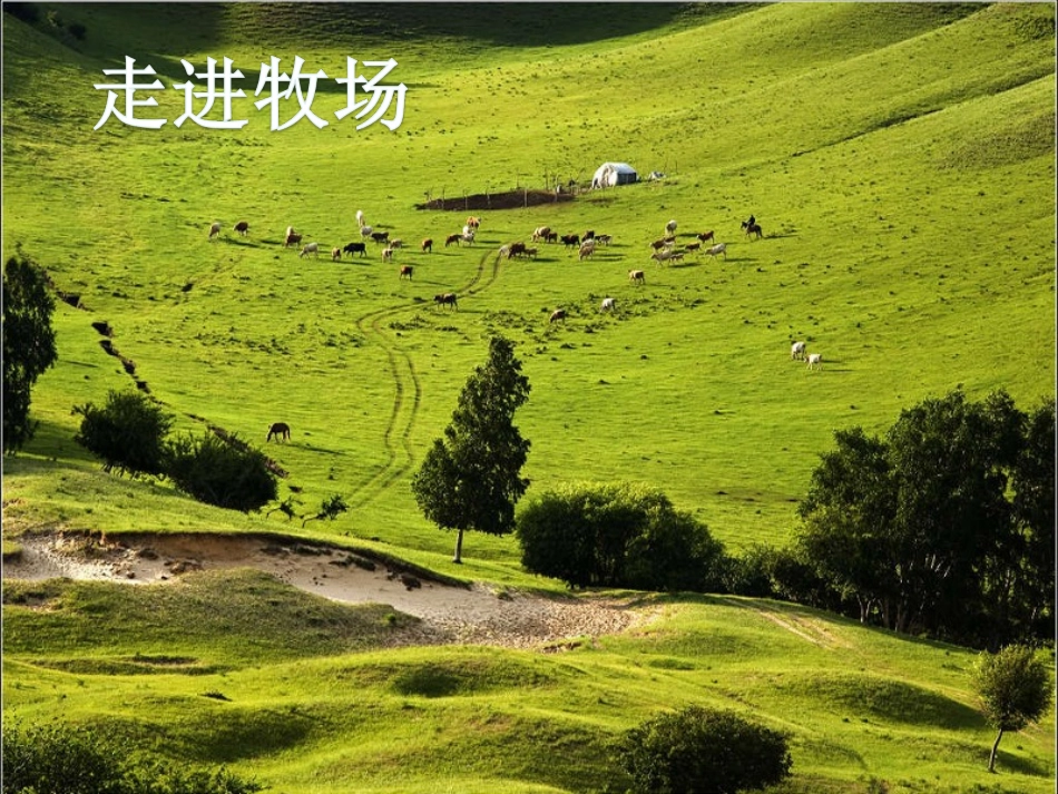 《牧场上的家》课件_第2页