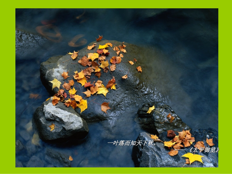 语文优秀课件故都的秋_第3页