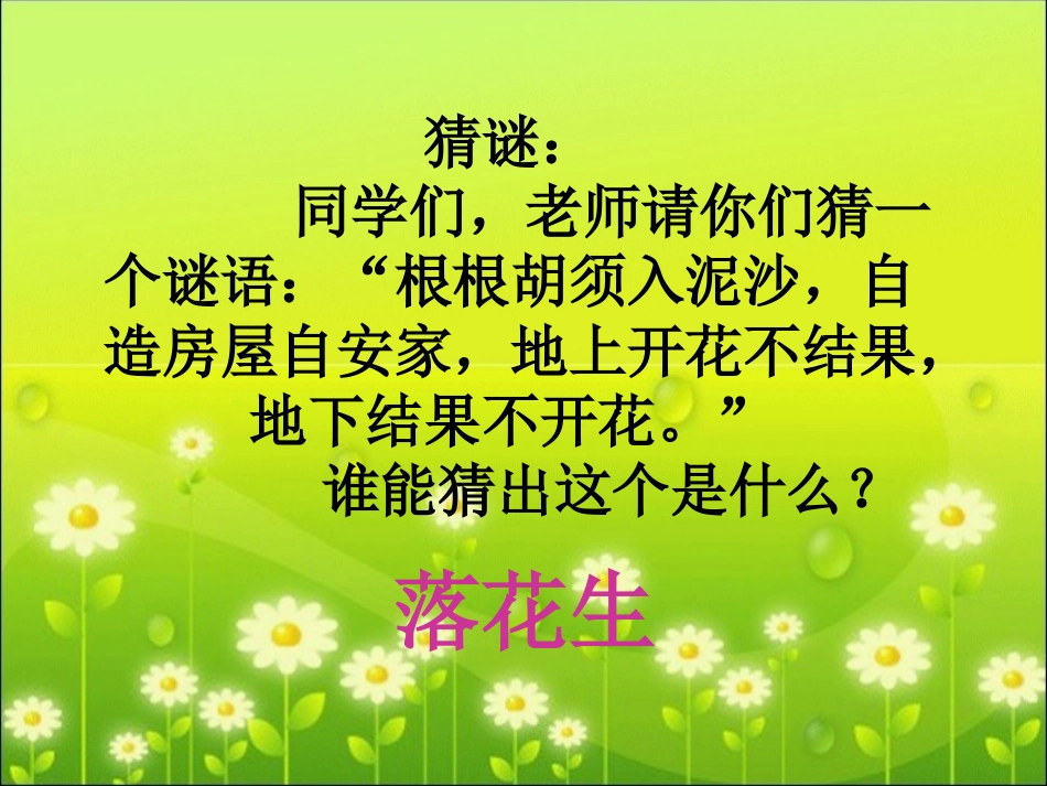 《落花生》教学课件_第1页