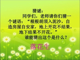 《落花生》教学课件