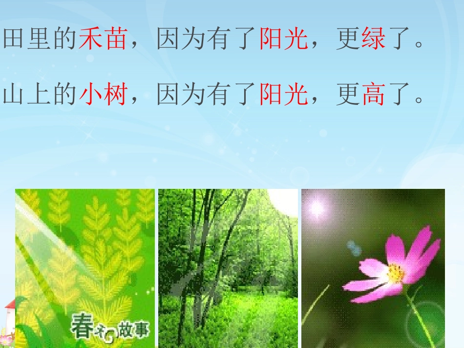 阳光PPT课件（2）_第3页