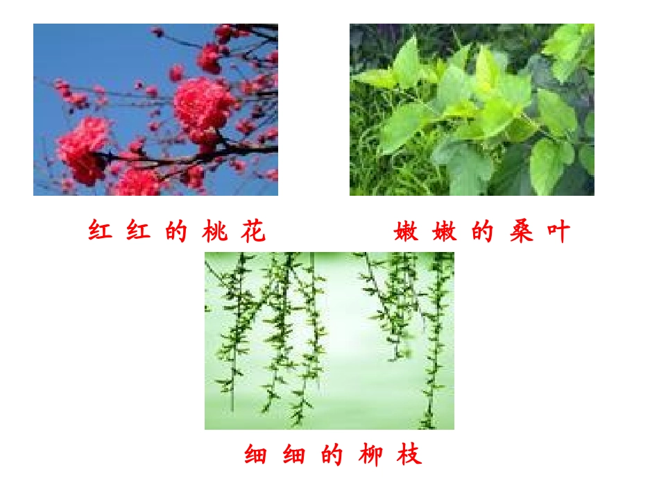 《特别的作业》课件1_第2页