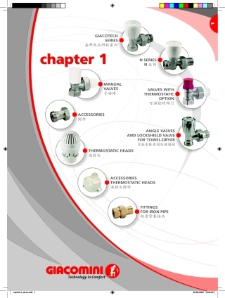 嘉科米尼阀门资料