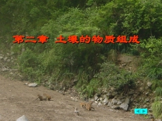 土壤的物质组成