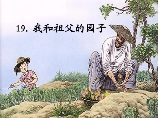 19.我和祖父的园子第二课时