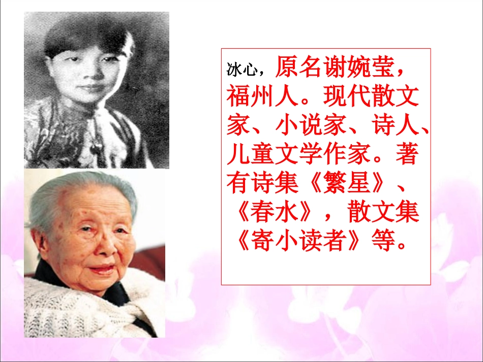 4《荷叶母亲》_第3页