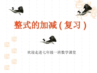 整式的加减复习课12354