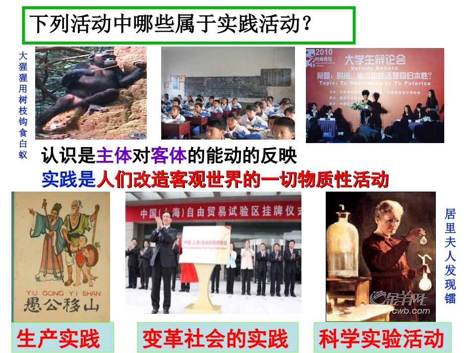 2014《生活与哲学》61实践及其特点_第2页