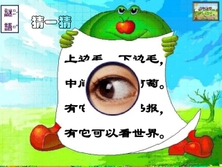编辑《我有一双明亮的眼睛》PPT课件5