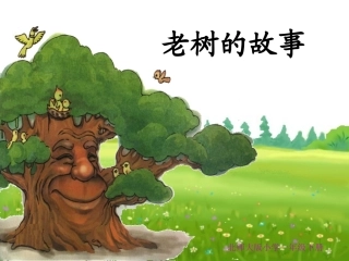 笃小学杨亚芳