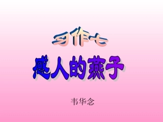 习作7感人的燕子PPT课件