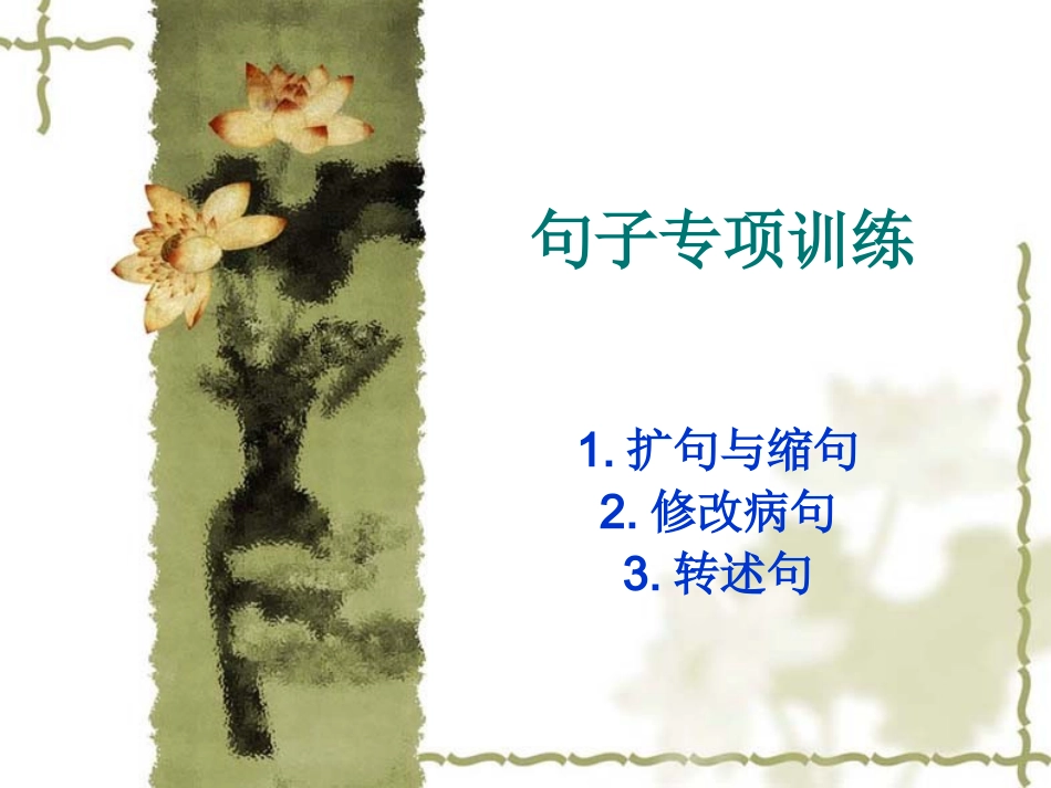 句子专项复习课_第1页