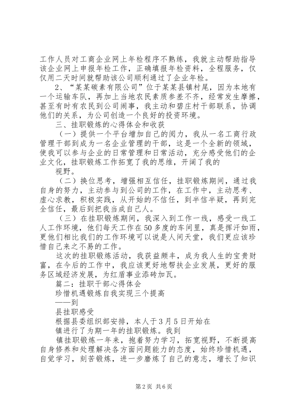 挂职干部心得体会_2_第2页