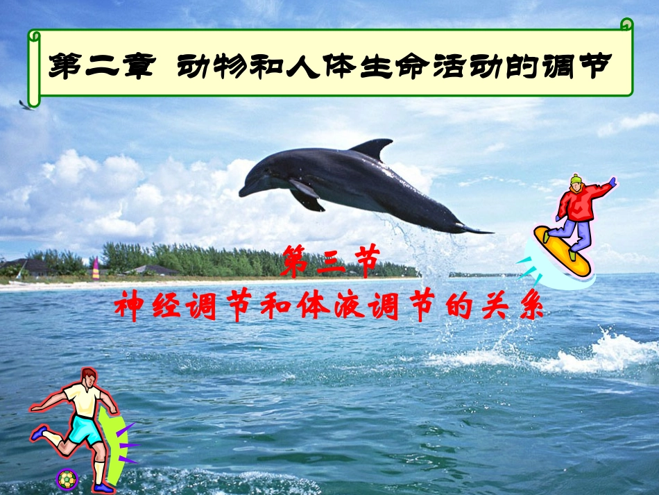 生物：2.3《神经调节与体液调节的关系》课件(新人教版必修3)(1)_第1页